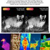 AI15 Thermal Imaging Monocular &ndash; 1920×1080 Resolution, 8000m Range, 10-Hour Battery