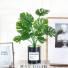 Artificial Plant Decor Camera