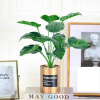 Artificial Plant Decor Camera