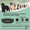 GPS Wireless Dog Fence